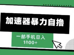 205新风口，加速器暴力自撸，单机日入1k+【揭秘】