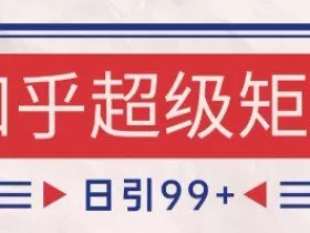 知乎超级矩阵玩法引流高质量精准粉SEO覆盖，日变现1k+【揭秘】