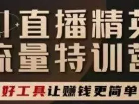 AI直播精英官方特训营，直播底层逻辑和ai实操技巧，用好工具让挣米更简单