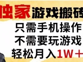 独家游戏搬砖模式，单手机即可操作，全自动挂G，无需玩游戏，月入1W+【揭秘】
