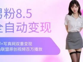 全网独家男粉8.5运营课程，进群+写真+网盘，稳定日入 5张