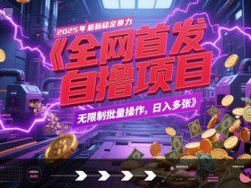 全网首发，2025年最新稳定暴力全自动自撸项目，无限制批量操作，日入多张【揭秘】