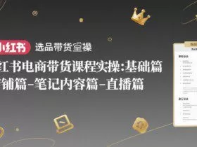 小红书电商带货课程实操：基础篇-选品篇-店铺篇-笔记内容篇-直播篇