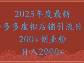 绝密引流秘籍，拼多多虚拟店铺引流，日引500+
