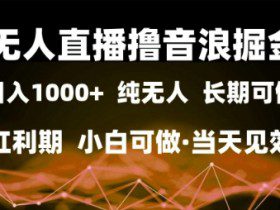 无人直播撸音浪掘金，日入1k+，纯无人红利期，小白可做，当天见效【揭秘】