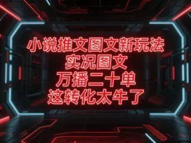 小说推文图文新玩法，实况图文，万播二十单，这转化太牛了！