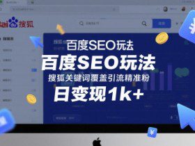 百度SEO玩法，搜狐关键词覆盖引流精准粉，日变现1k+【揭秘】