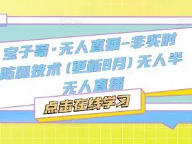 宝子哥·无人直播-非实时防风技术(更新25年5月)无人半无人直播