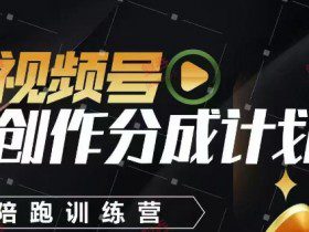 视频号创作分成计划陪跑训练营，手把手教会你如何制作视频，细水长流型项目