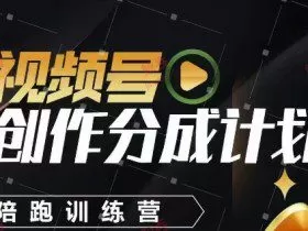 视频号创作分成计划陪跑训练营，手把手教会你如何制作视频，细水长流型项目