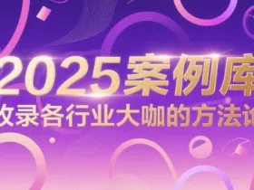 2025案例库，收录各行业大咖的方法论