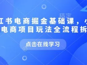 小红书电商掘金课，小红书电商项目玩法全流程拆解（更新5月）