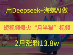 用Deepseek+海螺AI做短视频爆火“月半猫”视频，2月涨粉13.8w