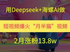 用Deepseek+海螺AI做短视频爆火“月半猫”视频，2月涨粉13.8w