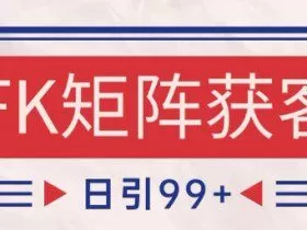 小红书某音FK赛道引流获客 自热矩阵日引200+【揭秘】