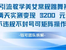 男粉引流教学美女常规跳舞视频两天实测变现1k+，不违规不封号可矩阵操作