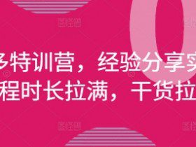 拼多多特训营，经验分享实操，课程时长拉满，干货拉满(更新25年4月)