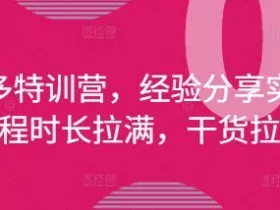 拼多多特训营，经验分享实操，课程时长拉满，干货拉满(更新25年4月)