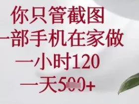 你只管截图，一部手机在家可以做，一小时120.一天5张+【揭秘】