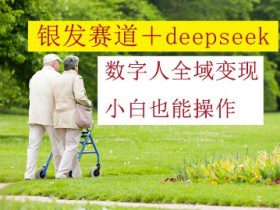 银发赛道+deepseek数字人全域变现，小白也能操作