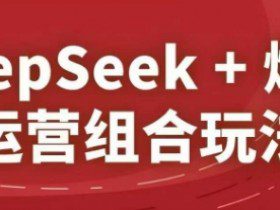 DeepSeek+爆品运营组合玩法，2025淘系精品课