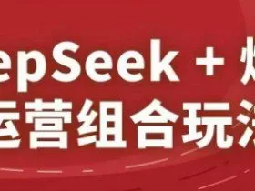 DeepSeek+爆品运营组合玩法，2025淘系精品课