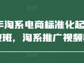 2025年淘系电商标准化起店流程私教班，淘系推广视频教程