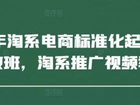 2025年淘系电商标准化起店流程私教班，淘系推广视频教程