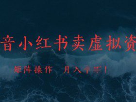 抖音小红书卖虚拟资料，市场需求一直存在，矩阵操作，月入1w+