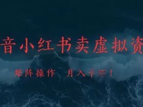 抖音小红书卖虚拟资料，市场需求一直存在，矩阵操作，月入1w+