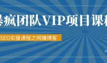 暴疯团队VIP赚钱项目教程之（SEO实操课程之网赚博客）