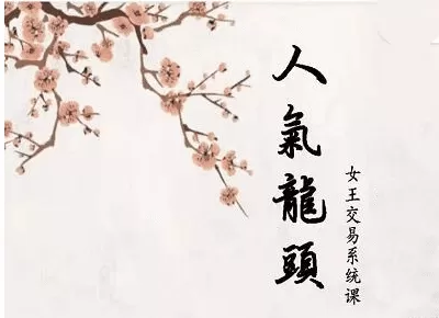 短线女王人气女王人气龙头基础视频课程