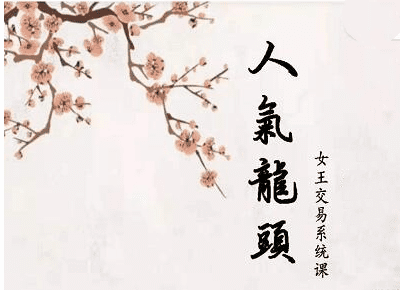 短线女王人气女王人气龙头基础视频课程