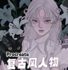 mszxxx豆子复古风人物插画课2024【画质高清只有视频】