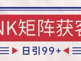 小红书某音NK赛道引流获客 自热矩阵日引200+【揭秘】