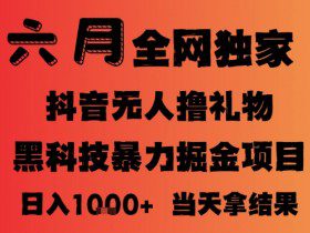 25年6月抖音无人直播最新暴力撸音浪掘金，小白可做，可批量矩阵放大，长期稳定日入1k+【揭秘】
