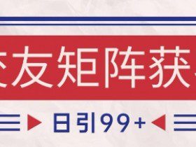 小红书某音交友赛道引流获客 自热矩阵日引200+【揭秘】