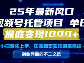 25年最新风口，视频号托管项目，单日保底变现1k+，手把手教学【揭秘】