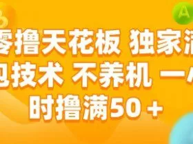 零撸天花板，独家满包技术 不养机 一小时撸满50+【揭秘】