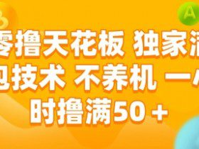 零撸天花板，独家满包技术 不养机 一小时撸满50+【揭秘】