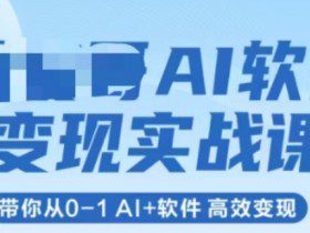 AI软件变现实战课，带你从0-1 Al+软件 高效变现
