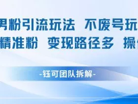 小红书男粉引流玩法不废号玩法日引100男粉变现路径多操作简单