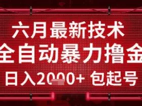六月最新技术全自动暴力撸金，稳定日入2k+包起号，长期稳定【揭秘】