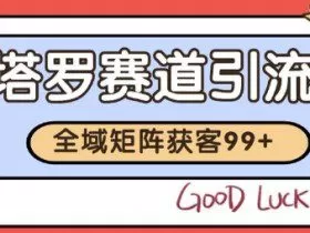 小红书某音塔罗赛道引流获客 自热矩阵日引200+【揭秘】