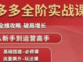 拼多多全阶实战课程，全维攻略，破局增长，从新手到运营高手