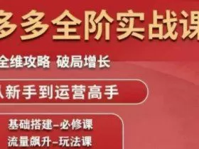 拼多多全阶实战课程，全维攻略，破局增长，从新手到运营高手