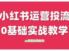小红书运营投流，小红书广告投放从0到1的实战课，学完即可开始投放（更新）