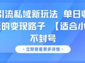 男粉引流私域新玩法，单日收益达10张的变现路子 【适合小白】不封号