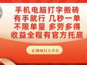 手机电脑打字搬砖，副业可发展主业来做蓝海项目，有手就行，几秒一单，不限单量，多劳多得【揭秘】