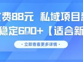 一单收费88元 私域项目新玩法 每天稳定6张+【适合新手】